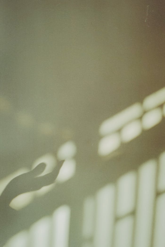 Abstract image showing a shadow of a hand on a softly lit wall, evoking a sense of mystery.