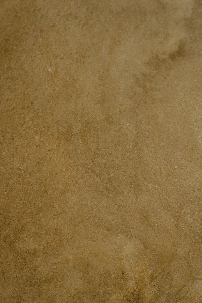A close-up view of a textured brown surface, ideal for use as a background or texture in various projects.
