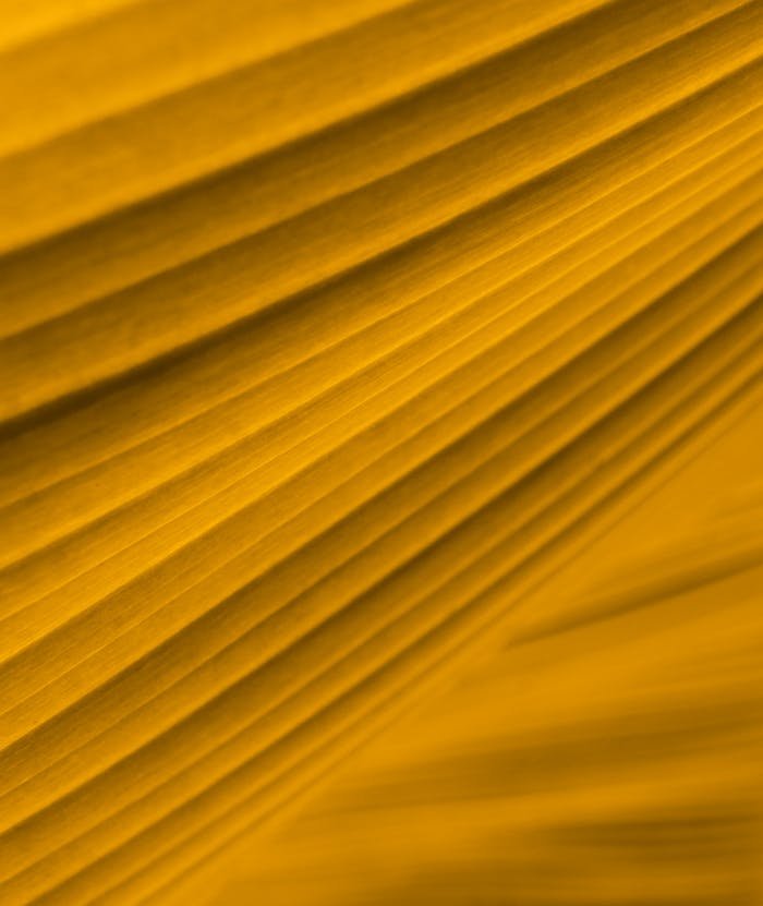 A vibrant abstract pattern featuring golden yellow lines, perfect as a wallpaper or screensaver.